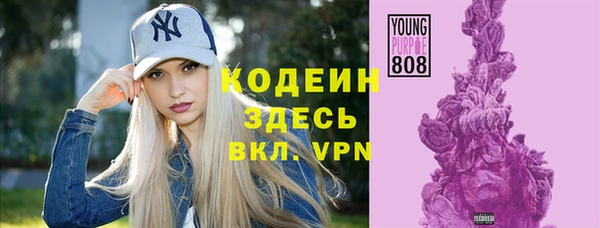 кокс Вяземский