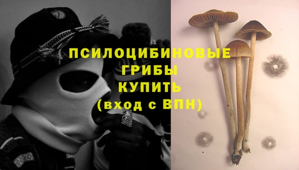 гашик Кулебаки