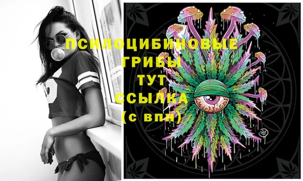 таблы Краснослободск